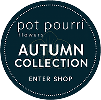 Autumn Flowers by Pot Pourri