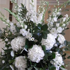 fwthumbRIMG0004-e1280403599391.jpg
