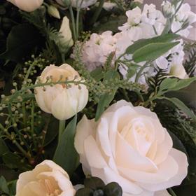fwthumbRIMG0059-e1338381559417.jpg
