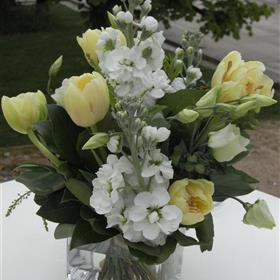fwthumbRIMG0065-e1338381604737.jpg