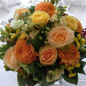 fwthumbRIMG00061.jpg