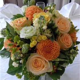fwthumbRIMG0007-e1311085475406.jpg