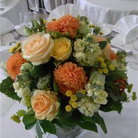 fwthumbRIMG0010-e1311085524486.jpg