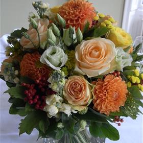fwthumbRIMG00121-e1312882733919.jpg