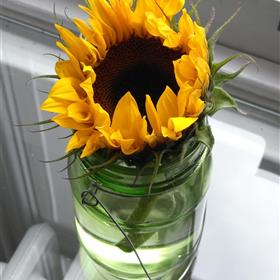 fwthumbRIMG00141-e1311085571290.jpg