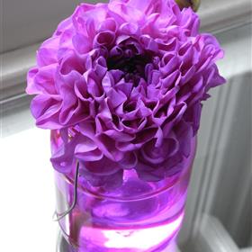 fwthumbRIMG0016-e1311085661824.jpg