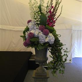 fwthumbRIMG0005-e1310475813365.jpg