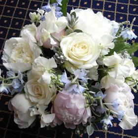 fwthumbRIMG00151.jpg