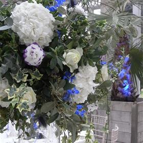 fwthumbRIMG0020-e1380699879742.jpg