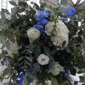 fwthumbRIMG0038-e1380700181298.jpg