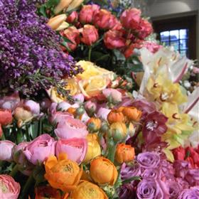 fwthumbRIMG0018-e1361376505133.jpg