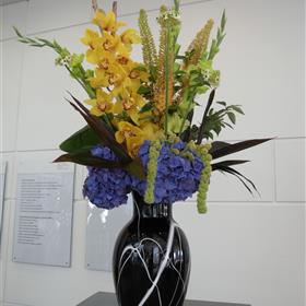 fwthumbRIMG0005-e1316776199823.jpg