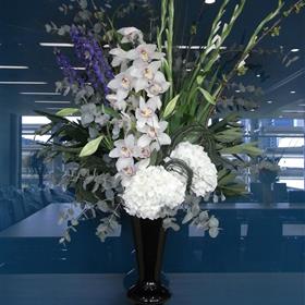 fwthumbRIMG00071-e1333188790870.jpg