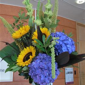 fwthumbRIMG00061-e1316776219830.jpg