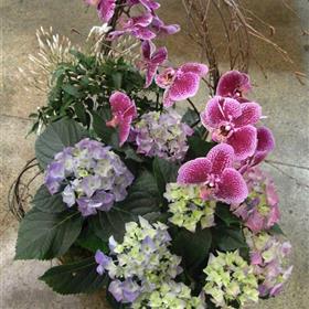 fwthumbRIMG0039-e1331575841172.jpg